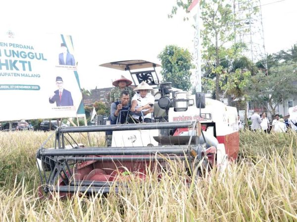 Bupati Malang Ikuti Panen Perdana Padi Unggul, Dukung Swasembada Pangan Nasional