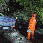 Cuaca-Ekstrem-Landa-Kota-Batu-BPBD-Tangani-31-Pohon-Tumbang-PPID-Kota-Batu