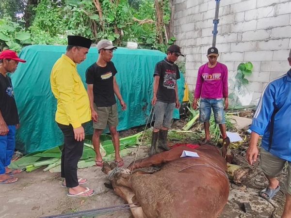 Golkar Malang Sembelih Kurban